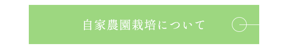自家農園栽培について